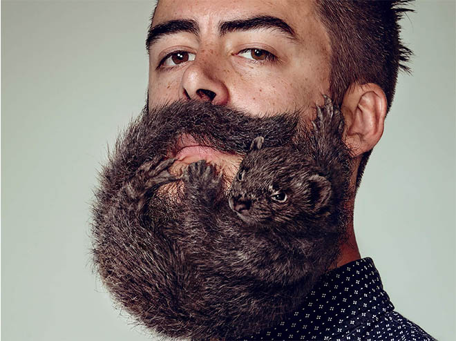 Animal beards by Y&R New Zealand – Design Museum