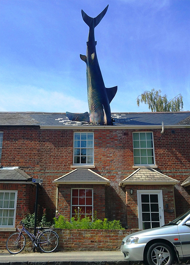 The Shark  (Oxford, UK)