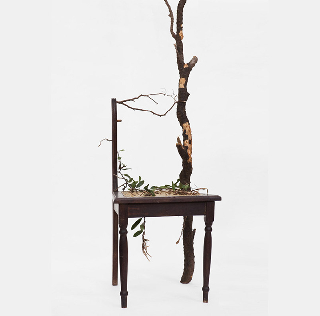 Rodrigo_Bueno_cultivates_botanical_life_within_nature-filled_furniture_11