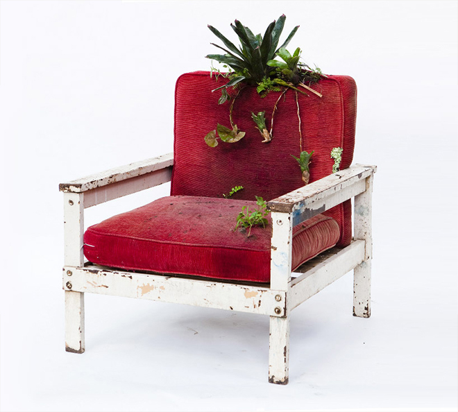 Rodrigo_Bueno_cultivates_botanical_life_within_nature-filled_furniture_12