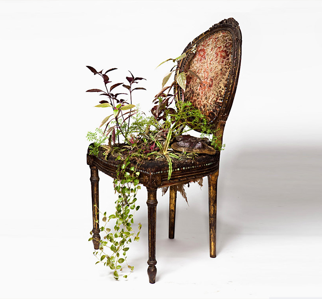 Rodrigo_Bueno_cultivates_botanical_life_within_nature-filled_furniture_2
