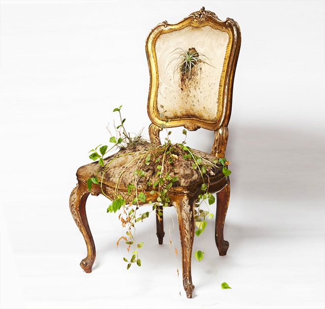 Rodrigo_Bueno_cultivates_botanical_life_within_nature-filled_furniture_4