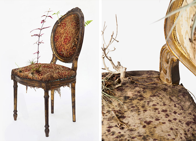 Rodrigo_Bueno_cultivates_botanical_life_within_nature-filled_furniture_7